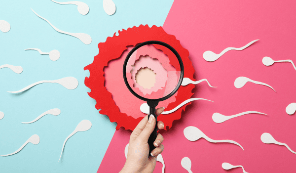 Basic Fertility Screening