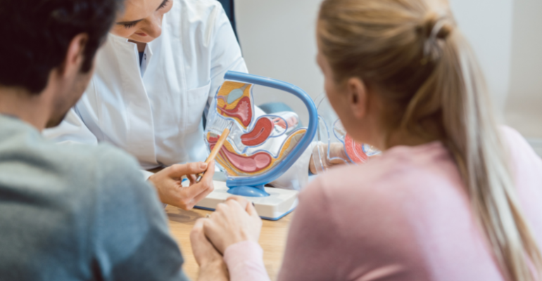 Fertility counselling at Klinik Ezze