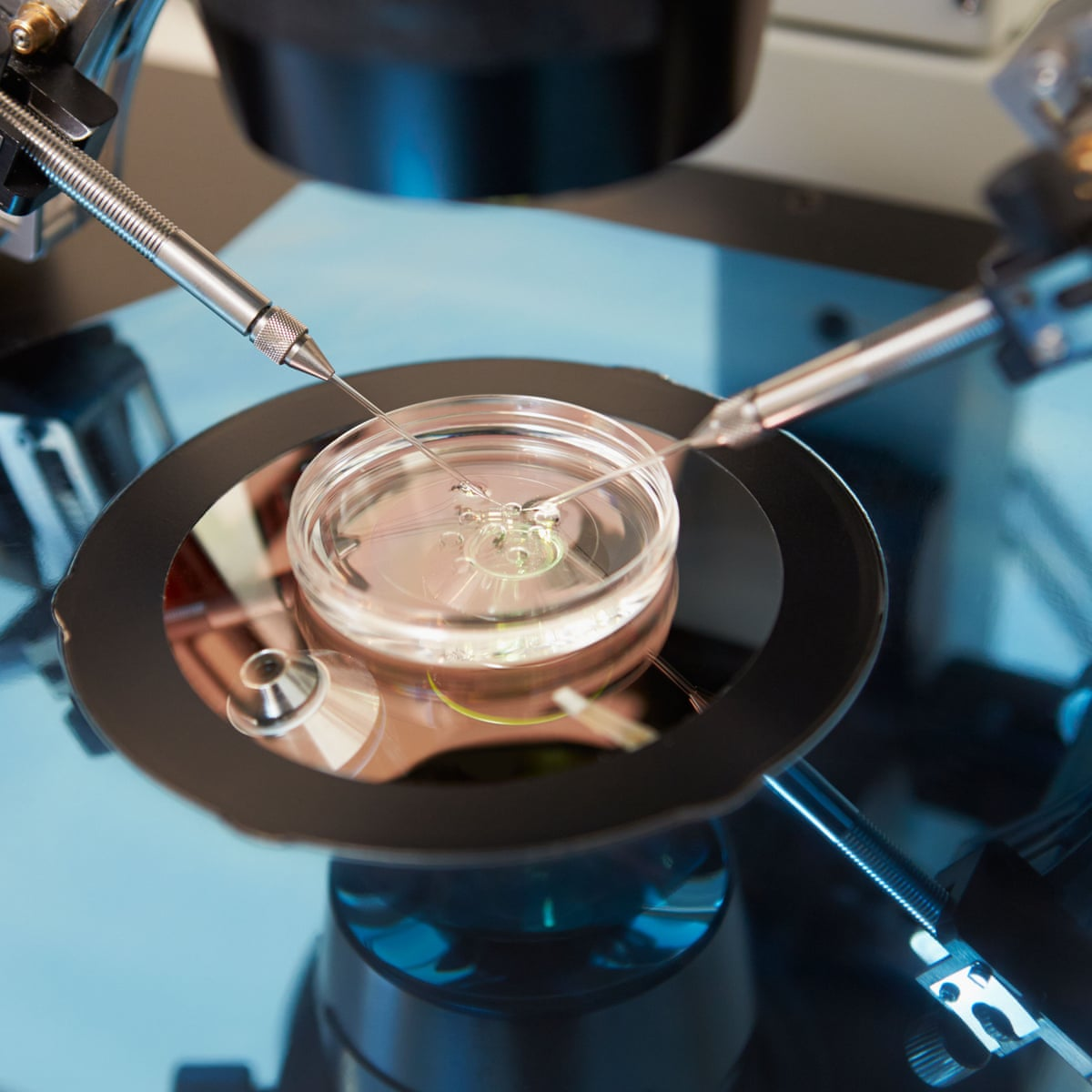 Klinik Ezze IVF care support