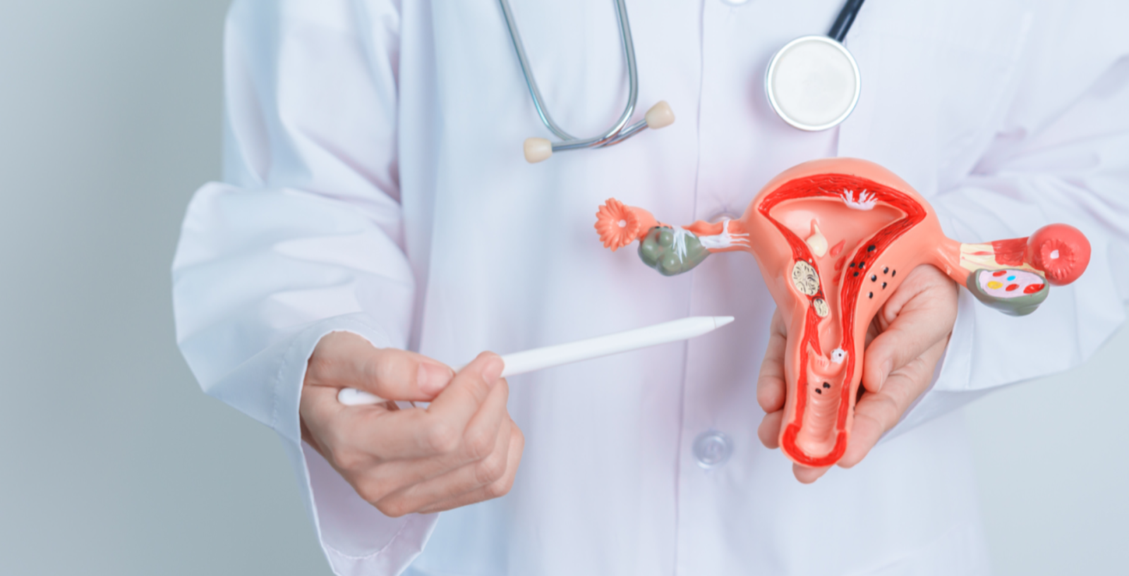 HyFoSy fertility assessment banner