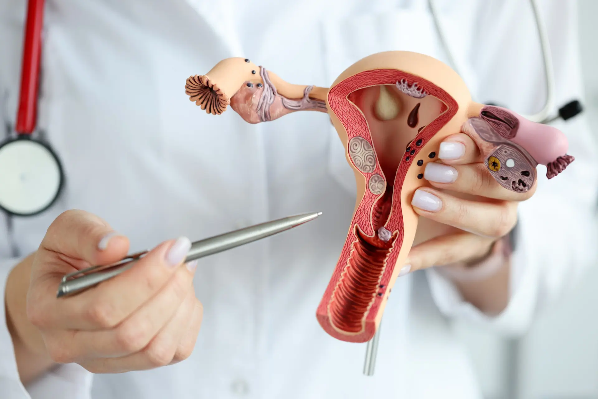 Doctor explaining ovulation and reproductive health during fertility consultation