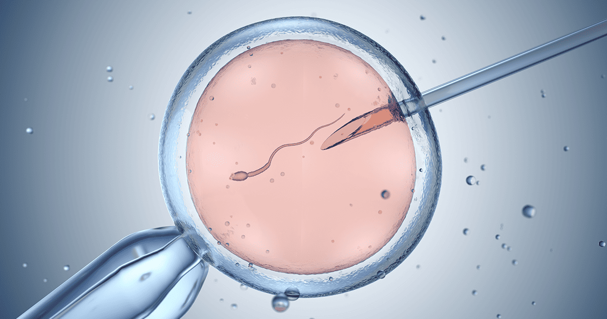 IVF fertility treatment support
